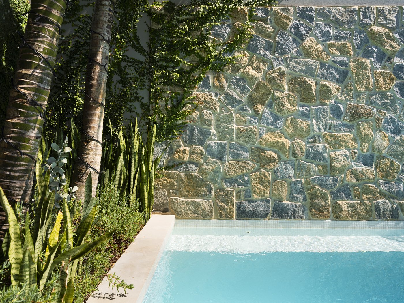 Pool And Landscape