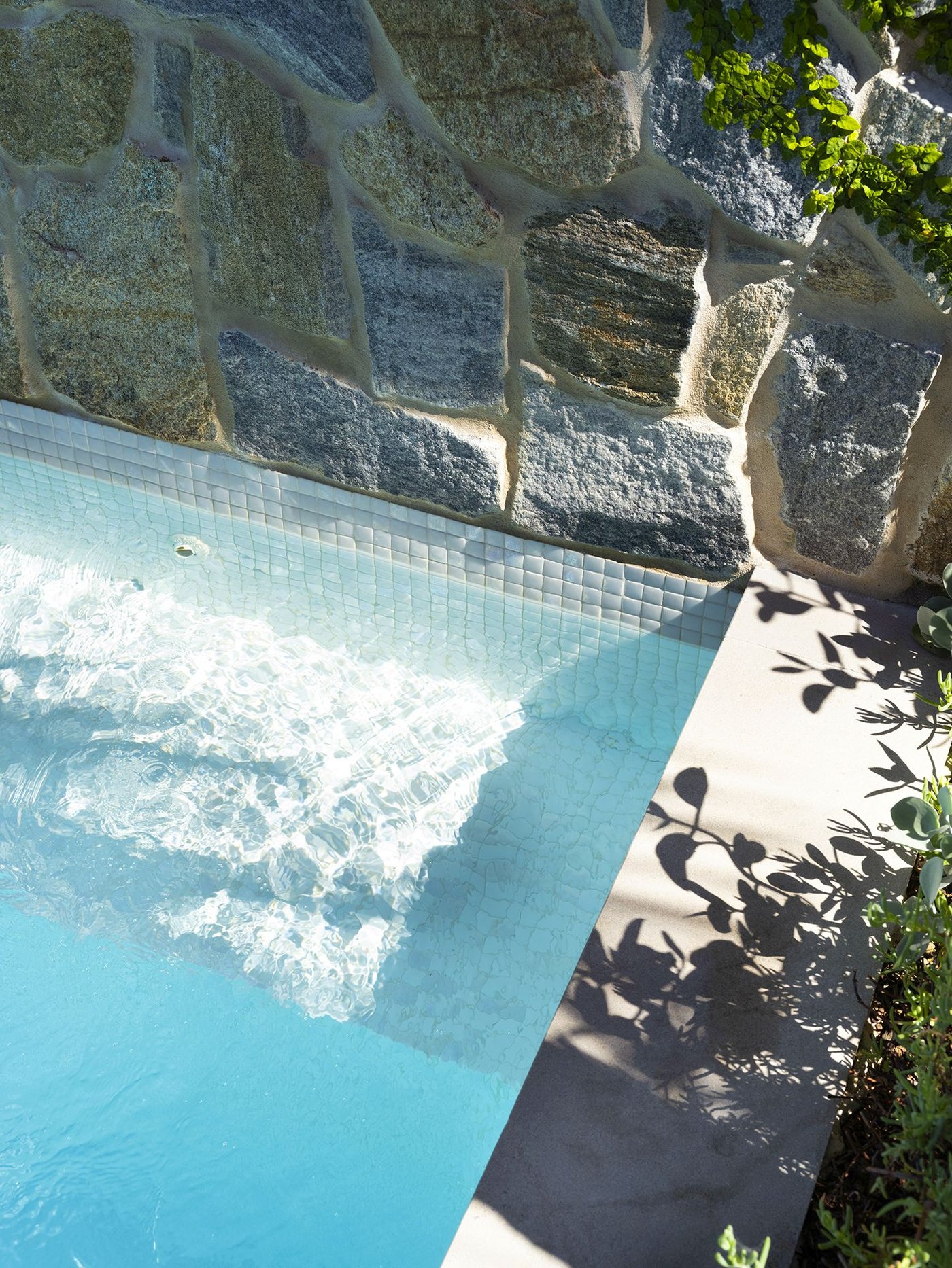 Backyard And Pool Layout