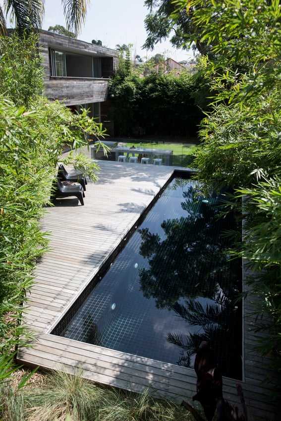 Pool-Safe Plants