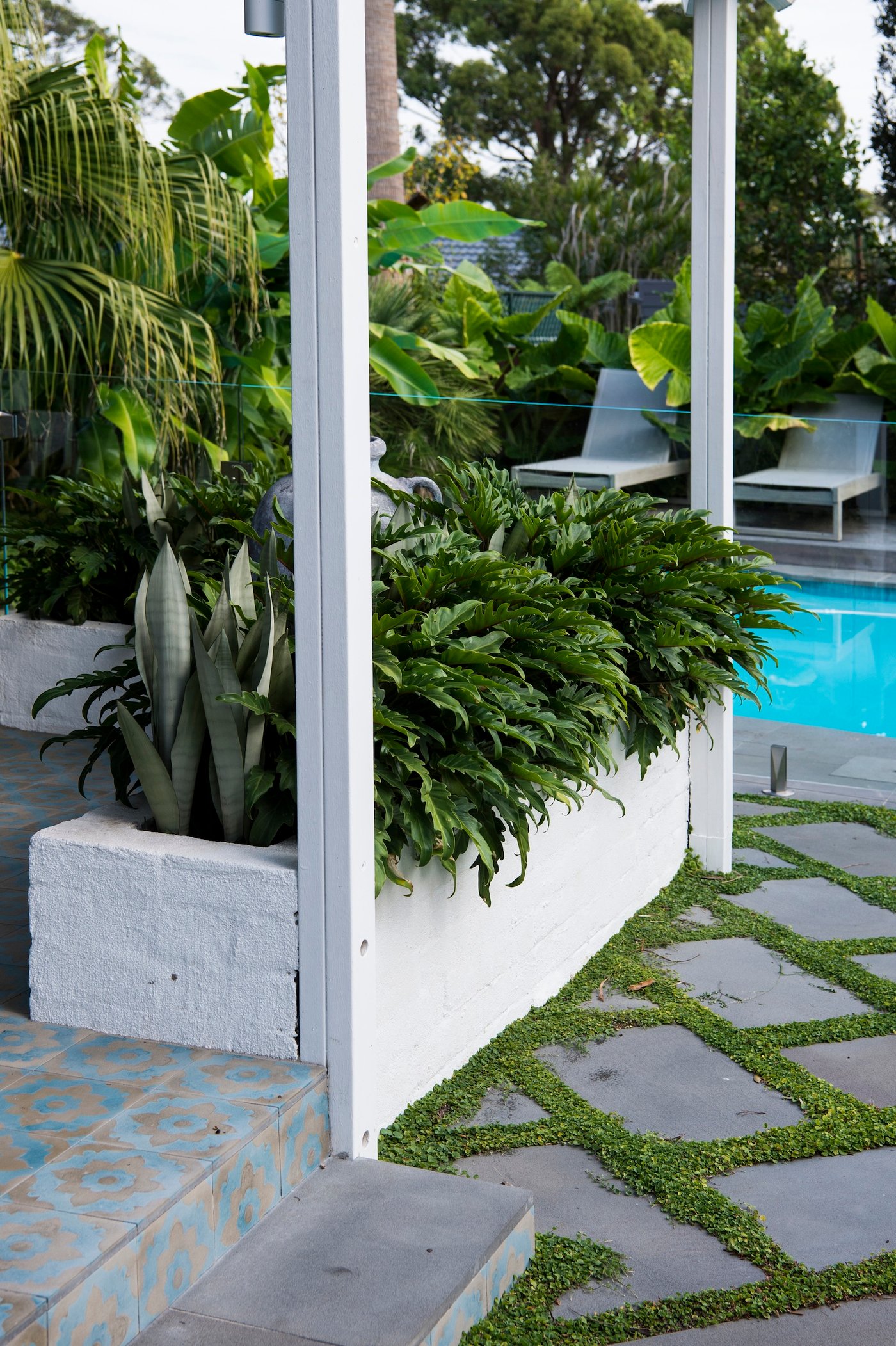 Architectural Pool Landscapes