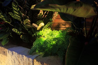 landscape design