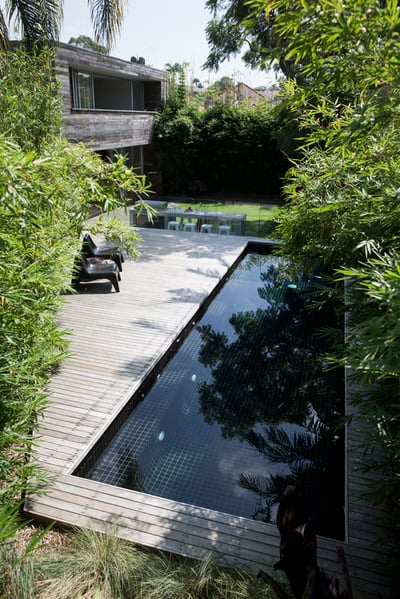 Pool-Safe Plants