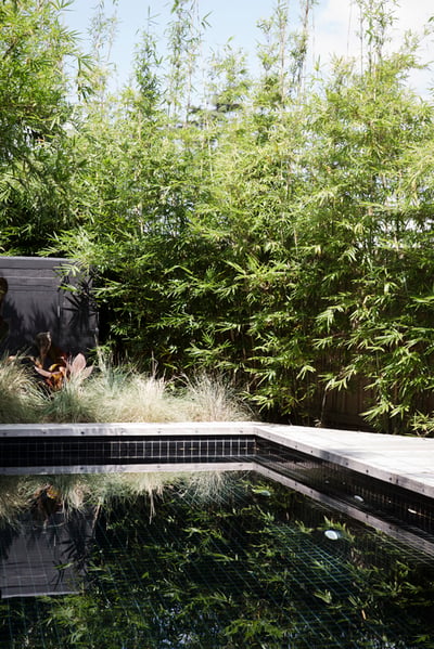 Luxury Pool Engineering