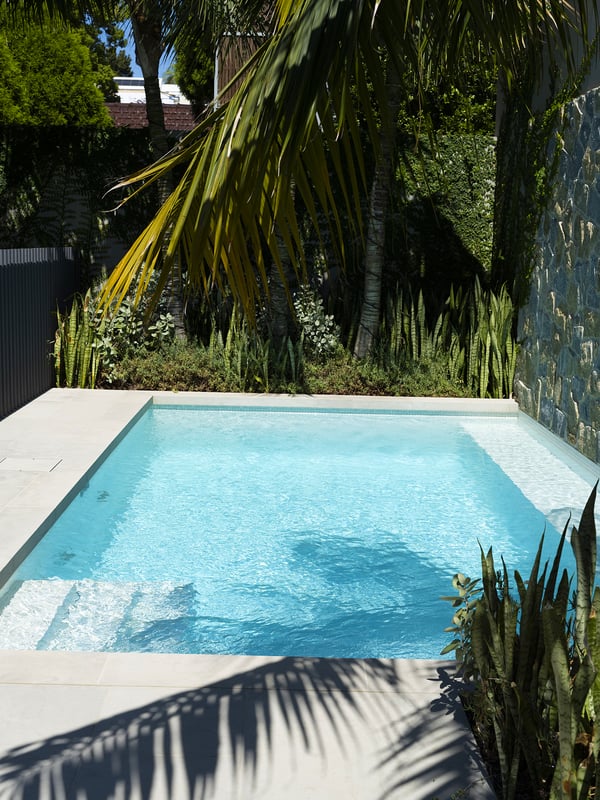 Pool And Garden
